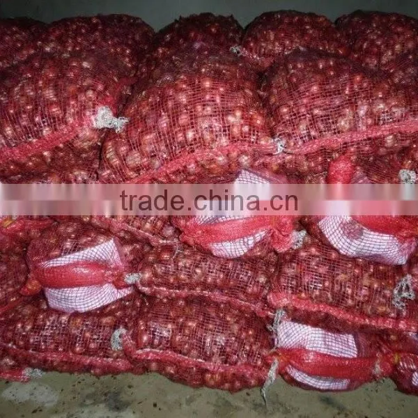 High Quality Fresh Onion From Kego Vietnam photo-5