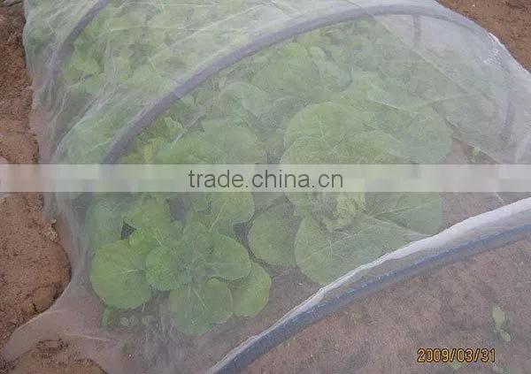 Insect Netting