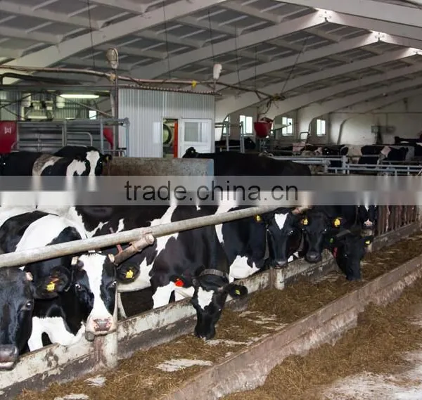 Electric Motor Feed Mixer Wagon For Farms/VERTICAL FEED MIXER/TMR FEED MIXER photo-4
