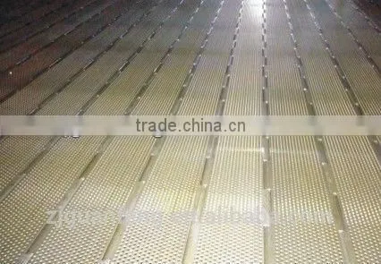 Machine Dehydrator of Fruit Dried Fruit Production Equipment Belt Dryer photo-3