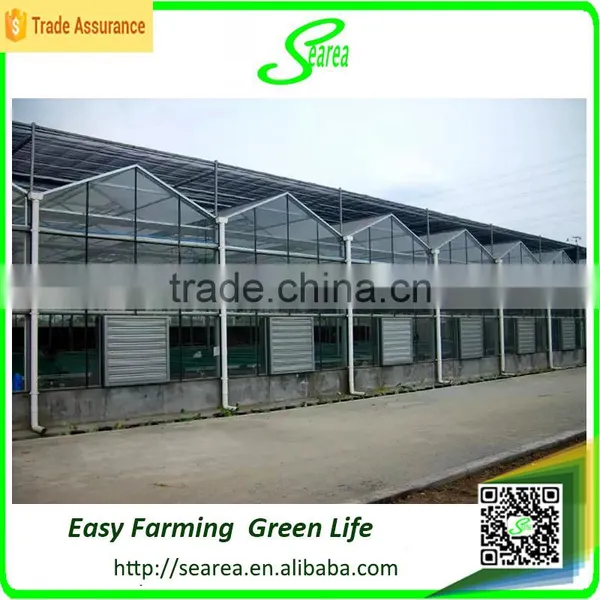 Modern Agricultural Equipments Glass Commercial Greenhouses photo-2