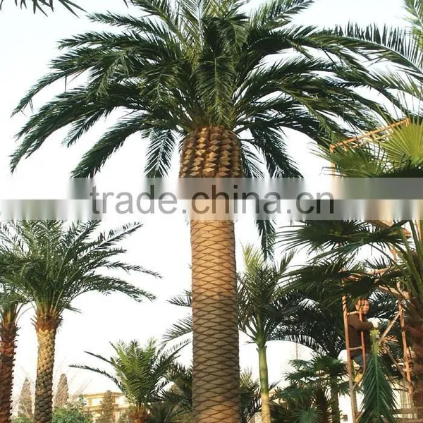 Wholesale Artificial Seaweed Tree High Simulation Artificial Palm Tree photo-4