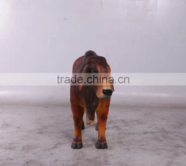 Definitive Brahman Looking Left photo-2