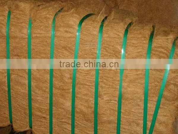 Coconut Fiber photo-4