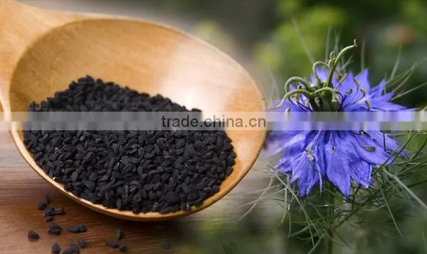 Nigella Sativa Extract photo-2