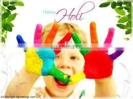 Healthy Gender Reveal Party Powder Pigment Increasing Atmosphere Color Powder Holi Holi Color Powder Holi Colour Powder Factory photo-3