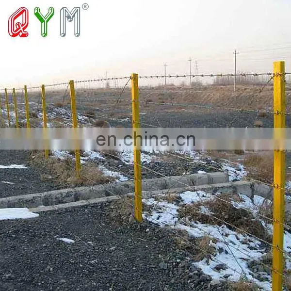 Electro Galvanized Barbed Wire for Farm Fence photo-3
