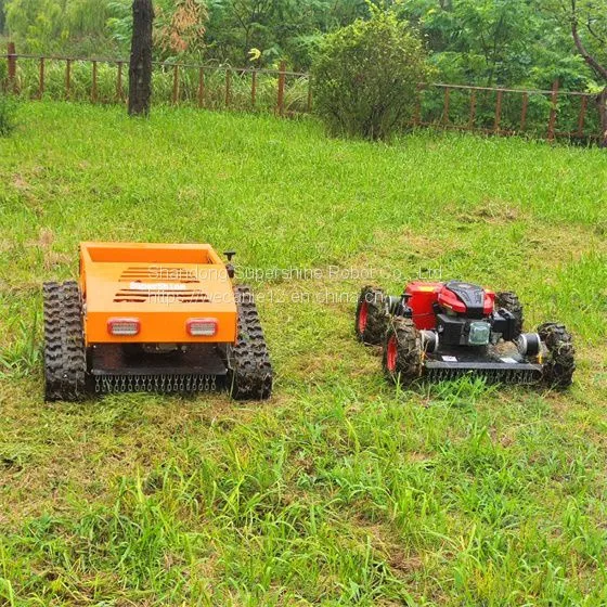 Track Mower, China Bush Remote Control Price, Tracked Robot Mower for Sale photo-4