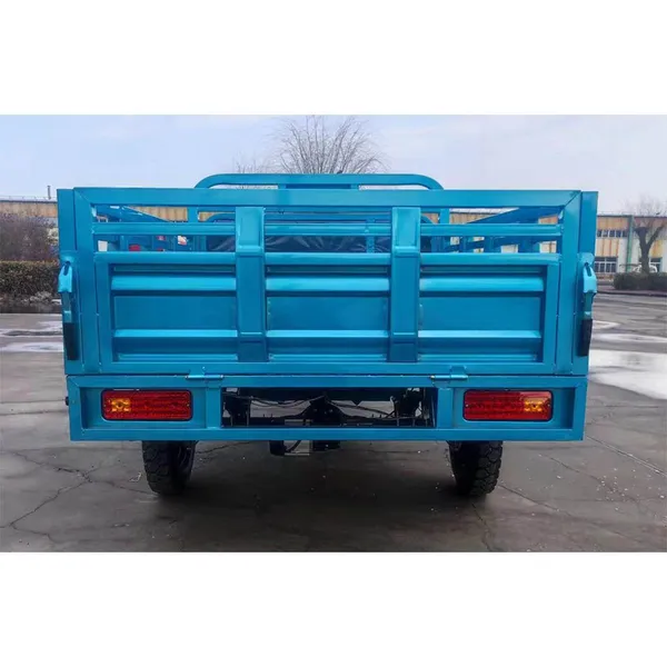 60-72V 1000W Super Motor Electric Pedicab Carrier Delivery Tricycle 3 Wheel Motorcycle photo-4