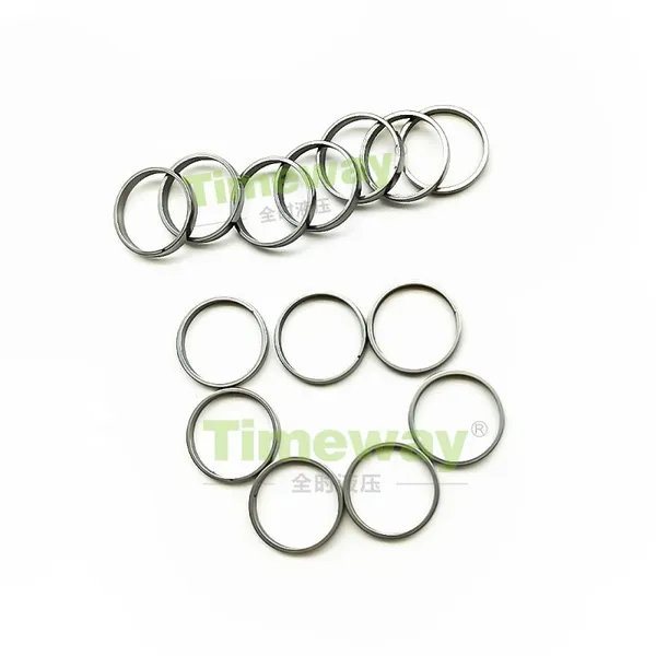 A2FO Rings of Pistons A2FO10/12 A2FO16 A2FO23/28/32 A2FO45 A2FO56/63 Pump Spare Parts for Repair REXROTH Piston Pump photo-3
