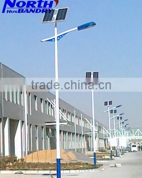 Wind and Solar Hybrid Street Lamp System High Quality Cheap Scenery Complementary Led Solar Street Lights photo-2