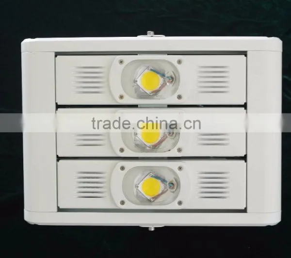 Aluminum Alloy Lamp Body Standardized Modular Design Led Project Light 100W photo-2