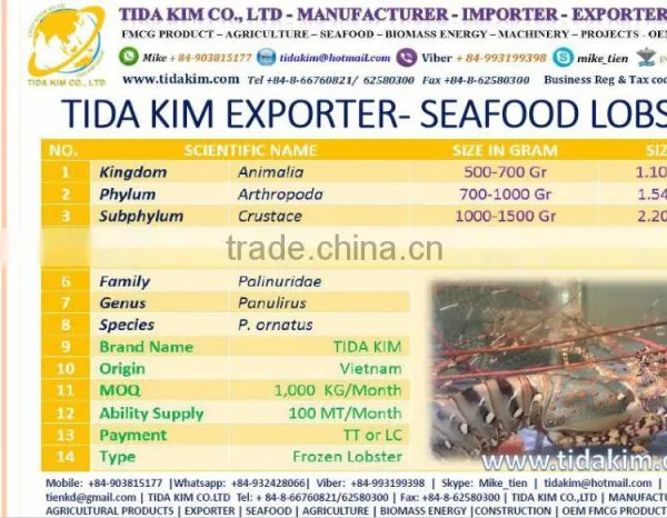 FROZEN WHOLE BABY OCTOPUS VULGARIS CLEANED BABAY OCTOPUS SHRIMP TIDA KIM LOPSTER VIETNAM FISH FILLETS BASA FRESH ALIVE NATURAL photo-2