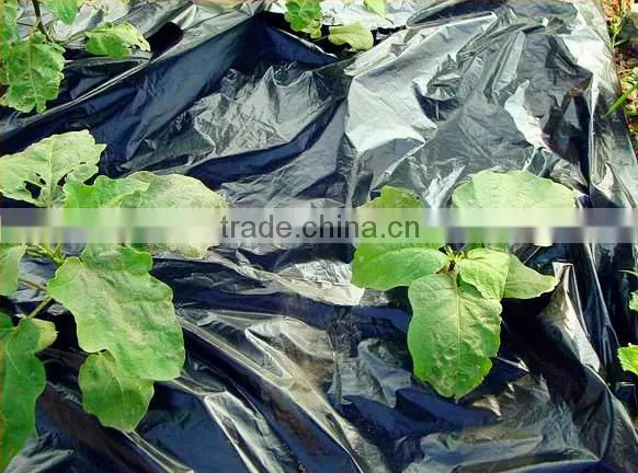 Plastic black mulch film