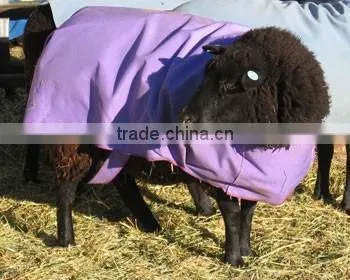 Breathable Sheep Coat photo-3