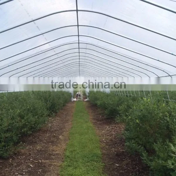 Tunnel Plastic Greenhouse photo-3