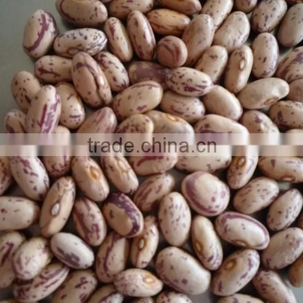 2015 New Crop Canned Vegetables/Pinto Beans/Speckled Kidney Beans photo-3