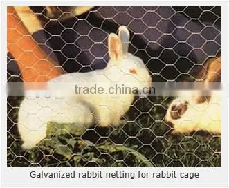 Hexagonal Woven Twist Wire Mesh - Galvanized and PVC Coated Chicken Mesh Price photo-4