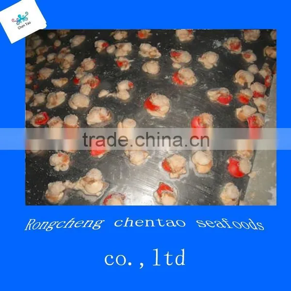 Frozen Scallops Conch Shell Clam Meat