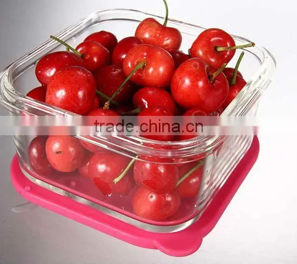 Glass Food Container With Silicone Cover