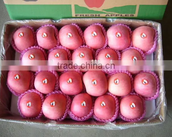 Apple Fuji Rosy Blush for Indonesia photo-3