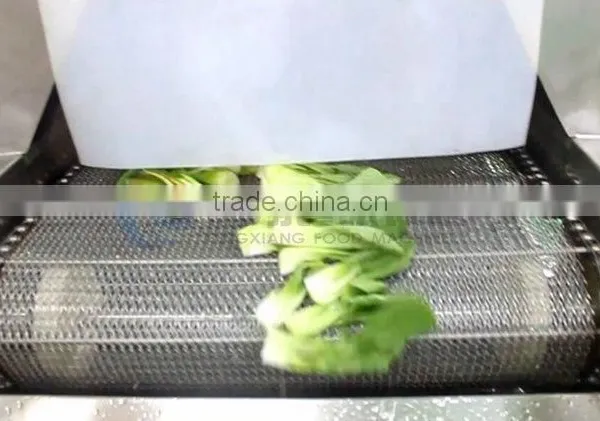 Water Recycle Saving Vegetable and Fruit Washing Cleaning Machine photo-5