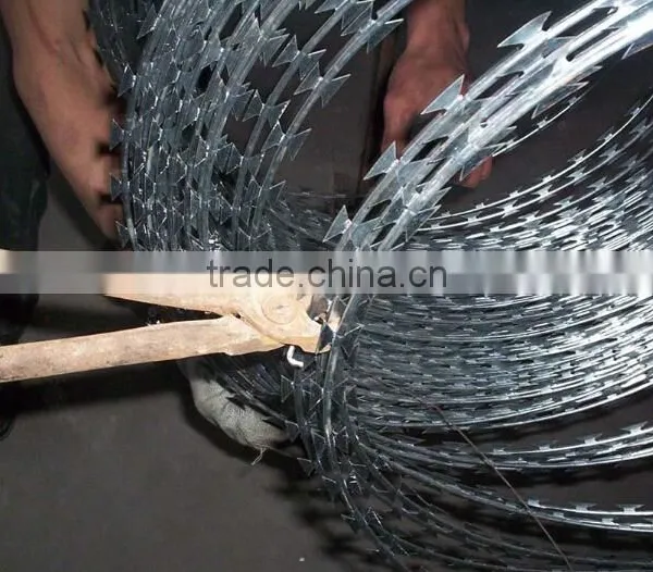 Factory Wholesale Hot-dipped Galvanized Razor Barbed Wire Mesh Fence photo-6