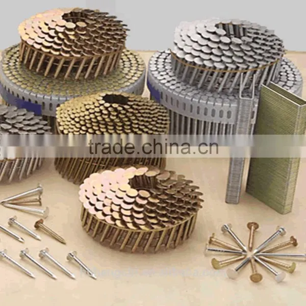 High Quality Coil Nails photo-6