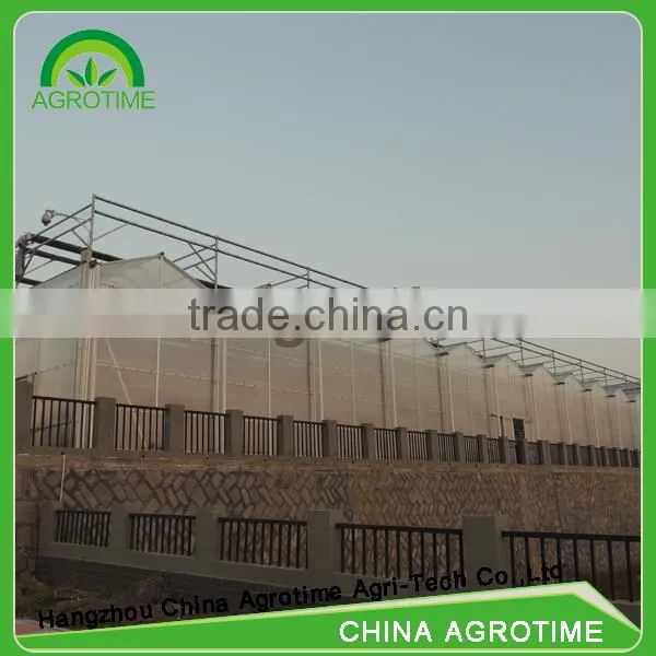Venlo Greenhouse PC Sheet Glass Covering Hot Sale Greenhouse/glass Greenhouse photo-2