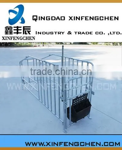 Pig Farming Equipment Swine Gestation Stall