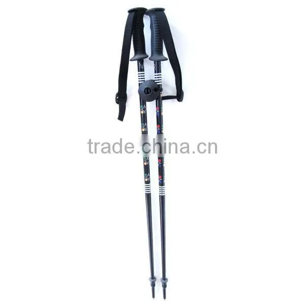 Children Ski Pole