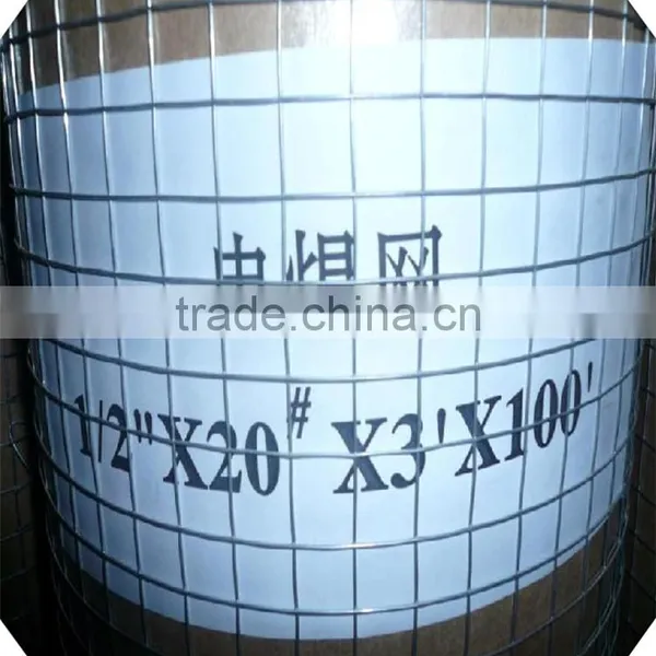 High Quality 2*2 Galvanized Welded Wire Mesh Factory / Pvc Coated Welded Wire Mesh Price photo-5