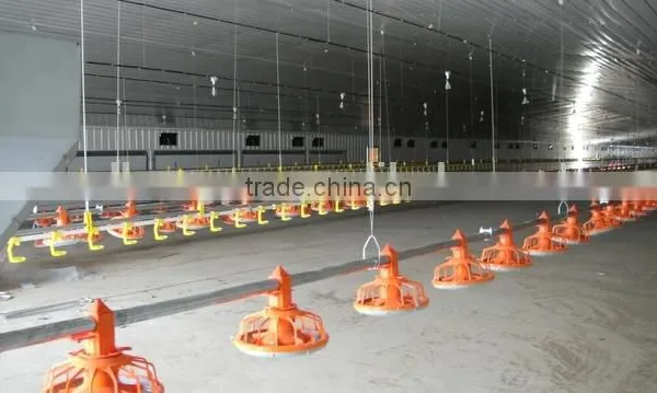 Automatic Poultry Feeder /poultry Feeding System/chicken Farm Feeder photo-4