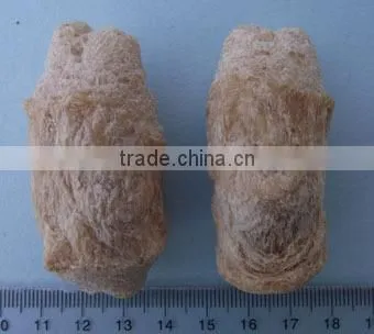 Direct Factory Price First Grade Soya Protein Food Making Machine photo-5