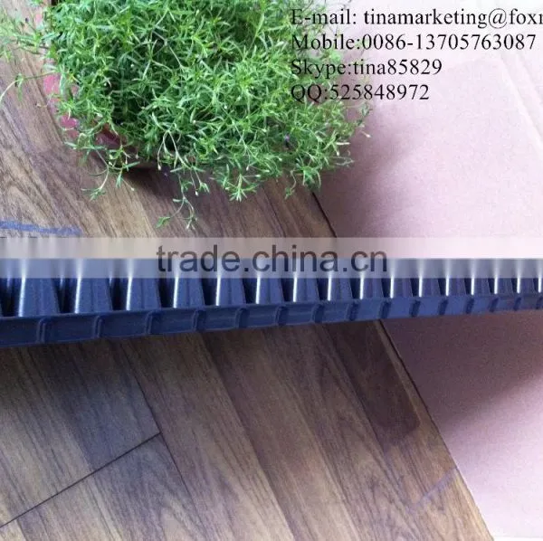 PS Material Plastic Plant Nursery Seedling Black Hole Tray 288 Cell With Different Thickness photo-4