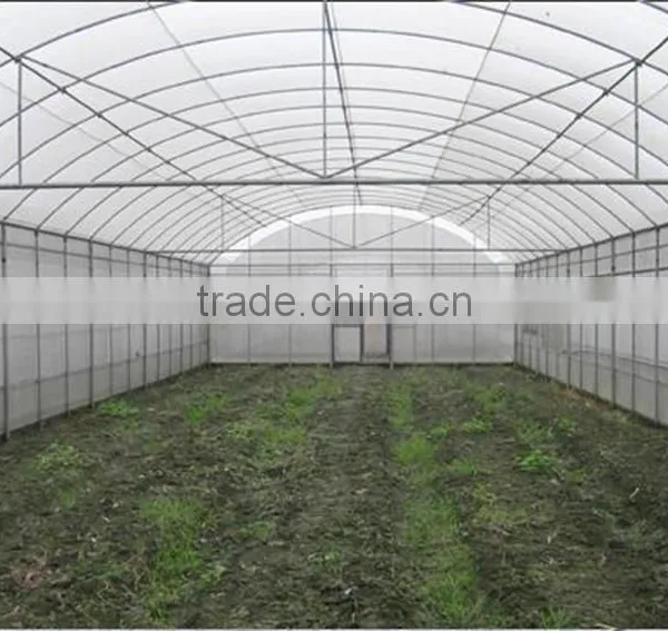 Multi-span Tunnelgreenhouse for Vagetable and Fruits photo-2