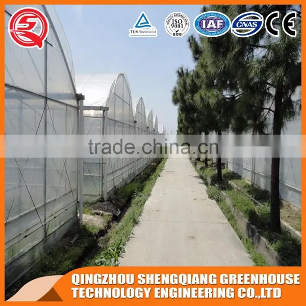 Multi-span Plastic Tomato Greenhouse Hot Galvanized Steel Frame photo-3