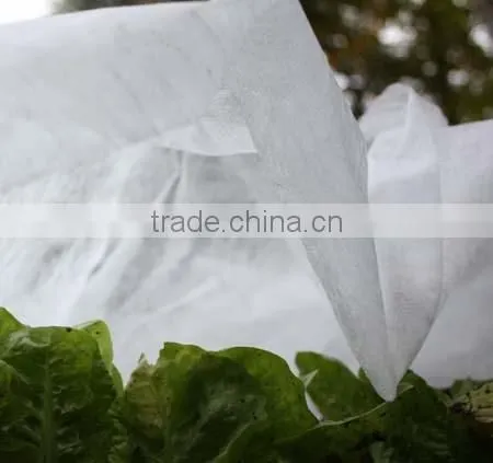 PP Non-woven Fabric ,mulch Fleece ,beige Ground Cover for Rose photo-5