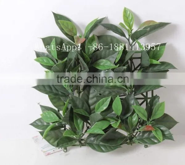 SJC016 Plastic Thick Grass Artificial Milan Grass Turf Fake Grass photo-2