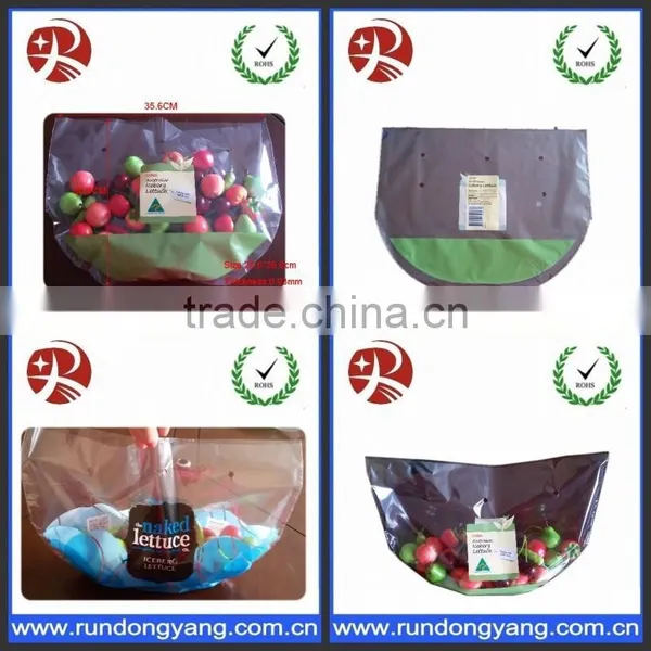 Hange Plastic Fruit Packing Protection Bag With Air Holes photo-4