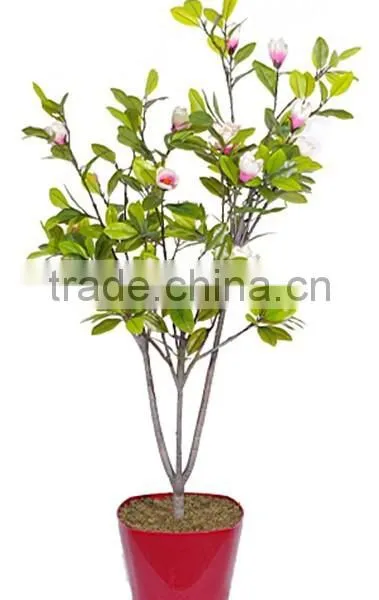 Indoor Home Garden Decorative 250cm Height Make Artificial Green Live Magnolia Bonsai Tree EXLYPZ06 0507 photo-4