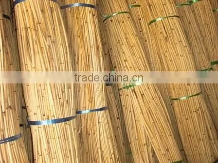 Raw White Pahang All Size Cane photo-4