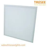 48W CE LED Panel 60x60 Edgelit Light Lamp Fixture 90lm/W