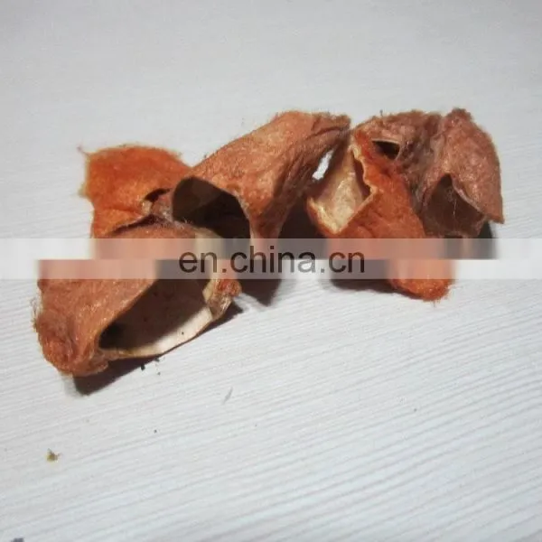 Cocoon photo-5