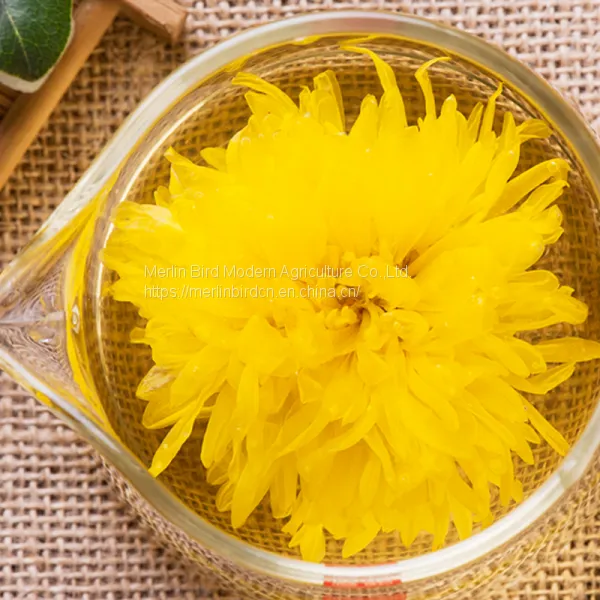 Dried Chrysanthemums Wholesale Scented Flavor Flower Herbal Tea photo-4