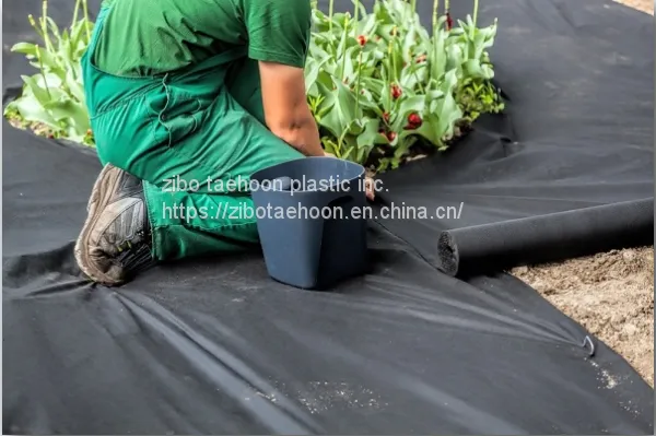 PP Weed Barrier photo-2