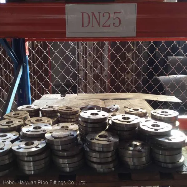 Flanges Forging Flange Pipe Fitting photo-2