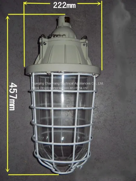 250W Extension Explosion-proof Lamp Waterproof Dustproof Lamp Explosion-proof Energy-saving Lamp BAD54 photo-3