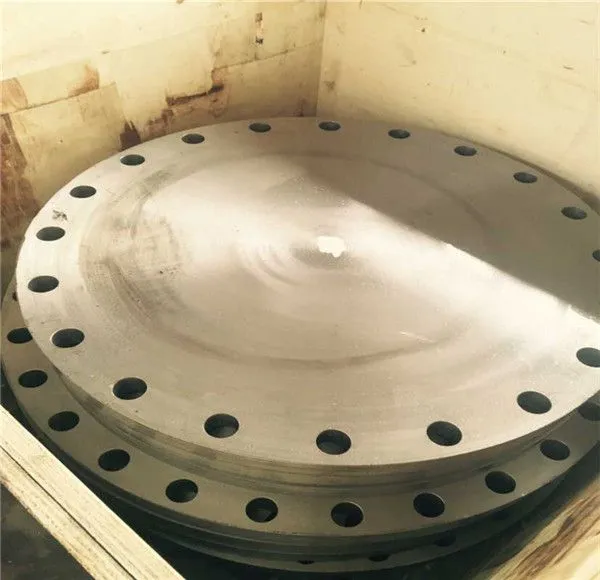 Customized Cr Cf Plate Flange For Pressure Vessel photo-2