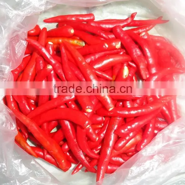 Fresh Hot Red Chili With Best Price photo-2